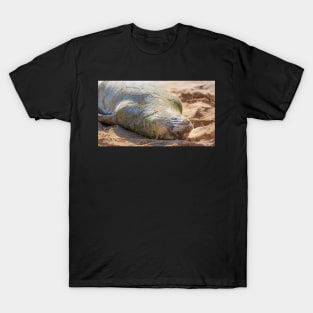 Hawaiian Monk Seal T-Shirt